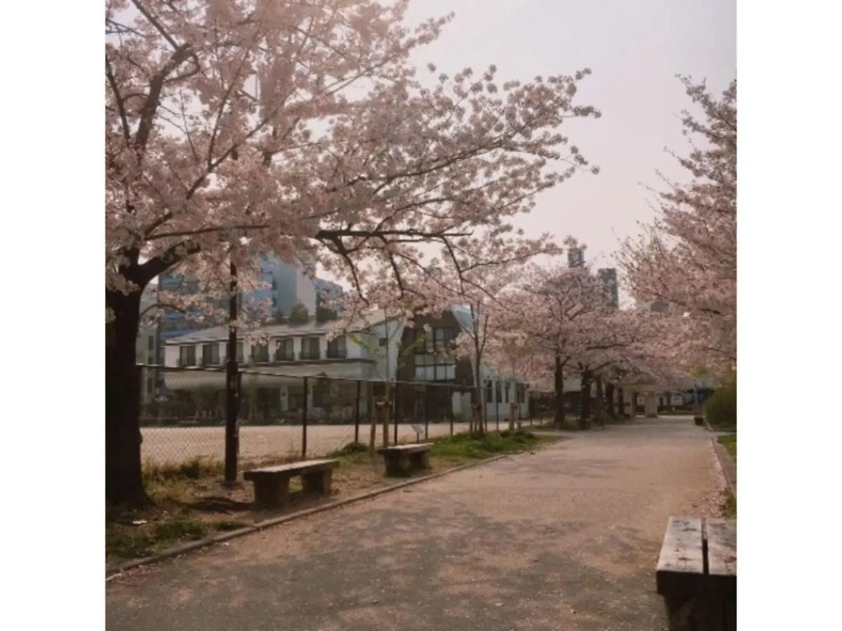 Hotel Halrotto Fukuoka Hakata - Vacation Stay 04185V