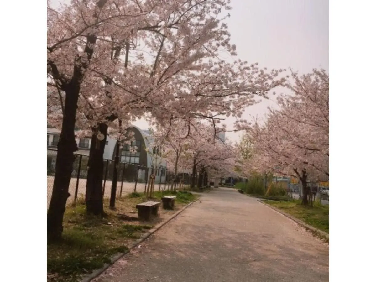 Hotel Halrotto Fukuoka Hakata - Vacation Stay 04185V